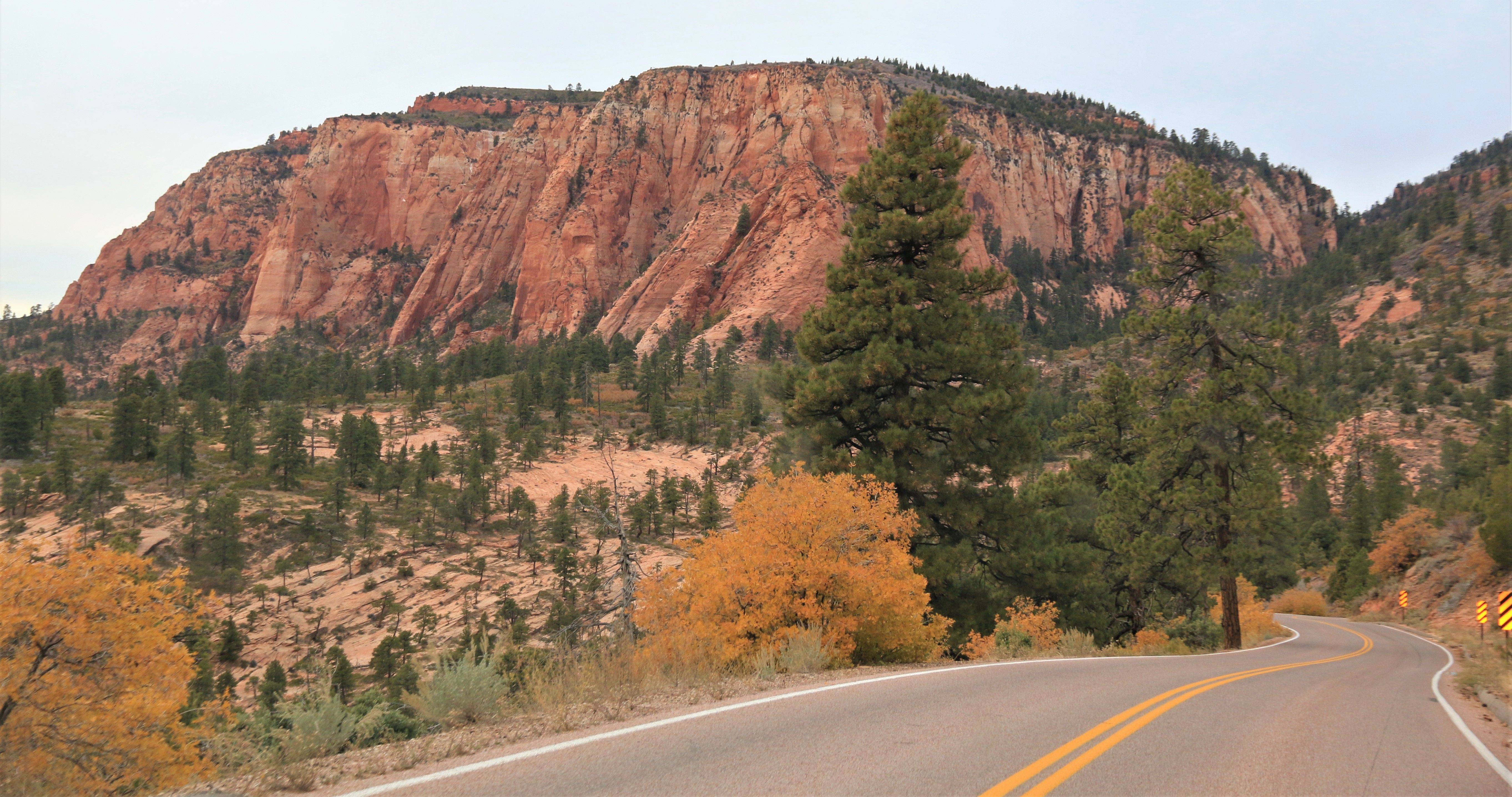 Zion NP